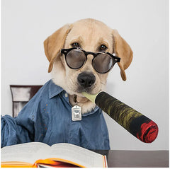 A dog in a blue shirt sits at a table, looking at an open book, holding a painted rolled fabric resembling a bat.