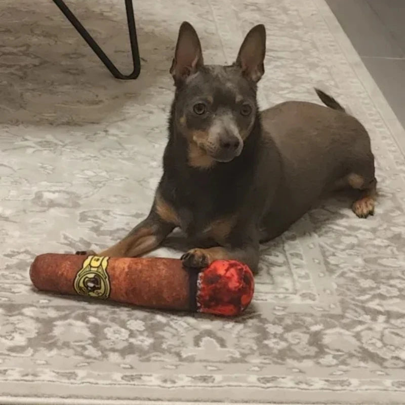 A small brown dog lies on a patterned rug, playfully resting its paw on a plush toy that resembles a cigar.