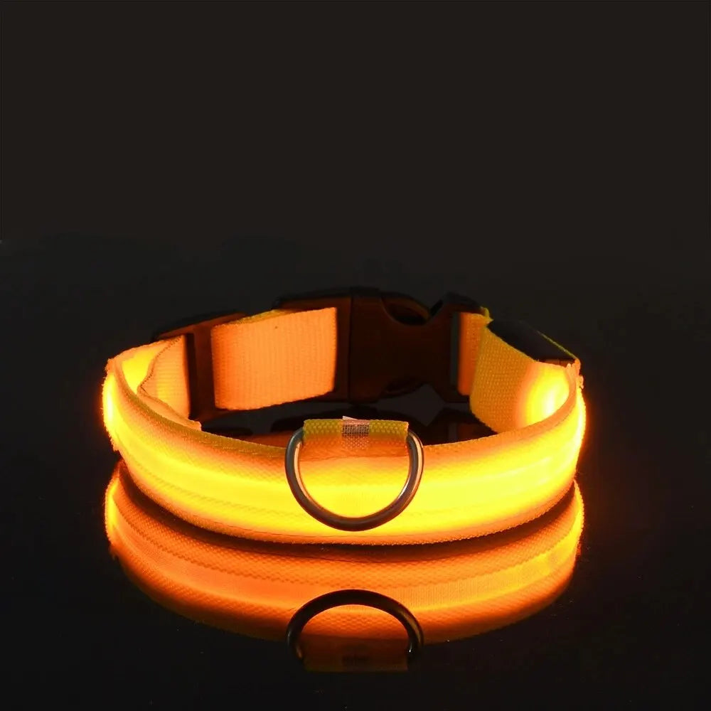 Nylon LED Night Safety