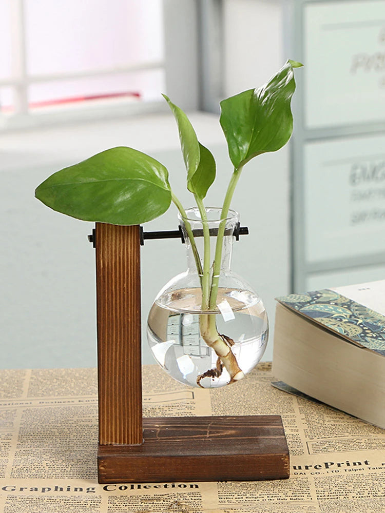 Modern Home Wooden Frame Hydroponic Vase