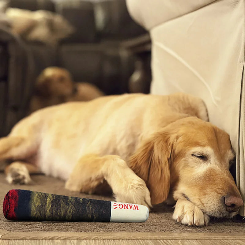 Interactive Plush PAW Dog Toy