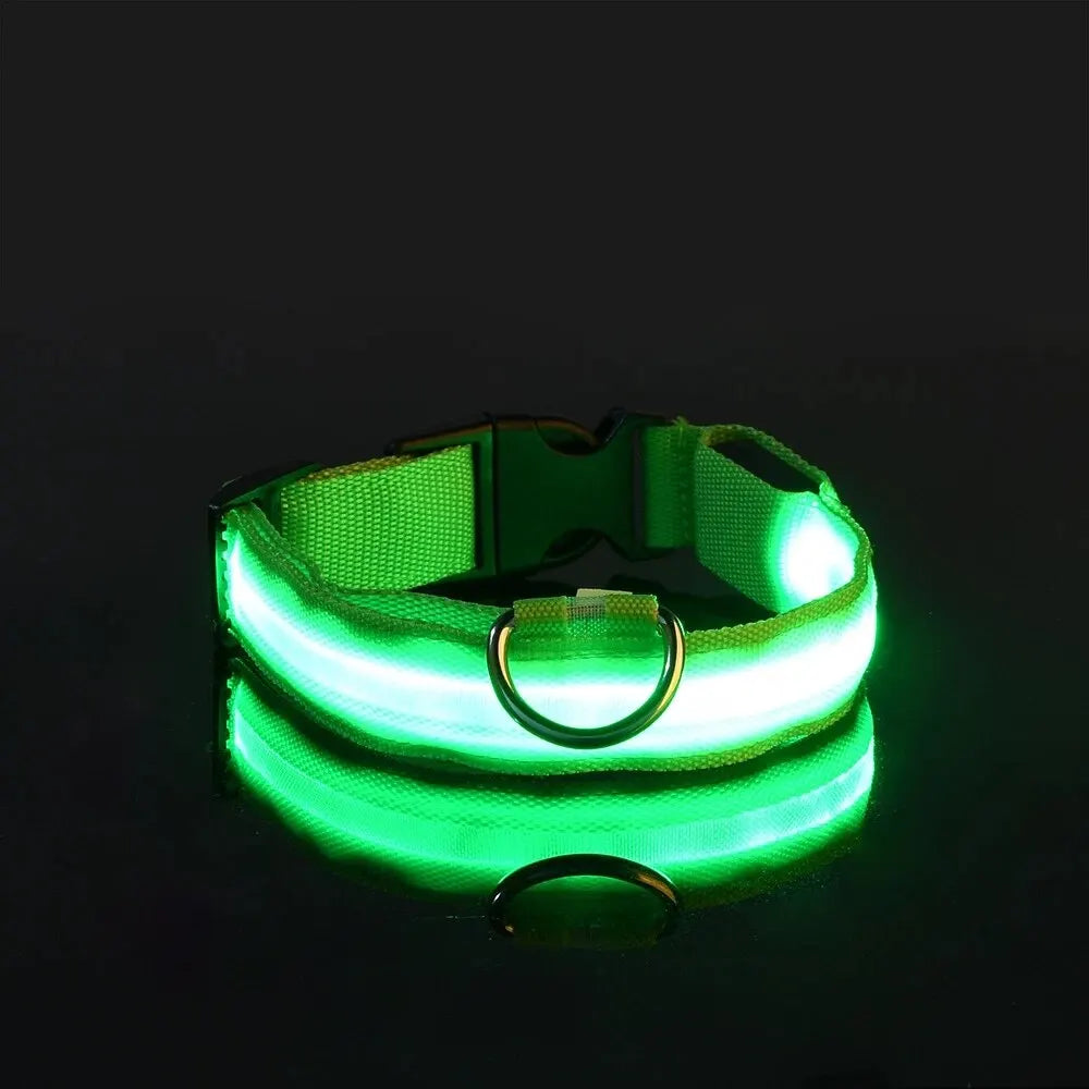 Nylon LED Night Safety