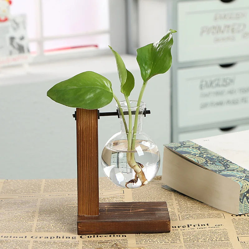 Modern Home Wooden Frame Hydroponic Vase