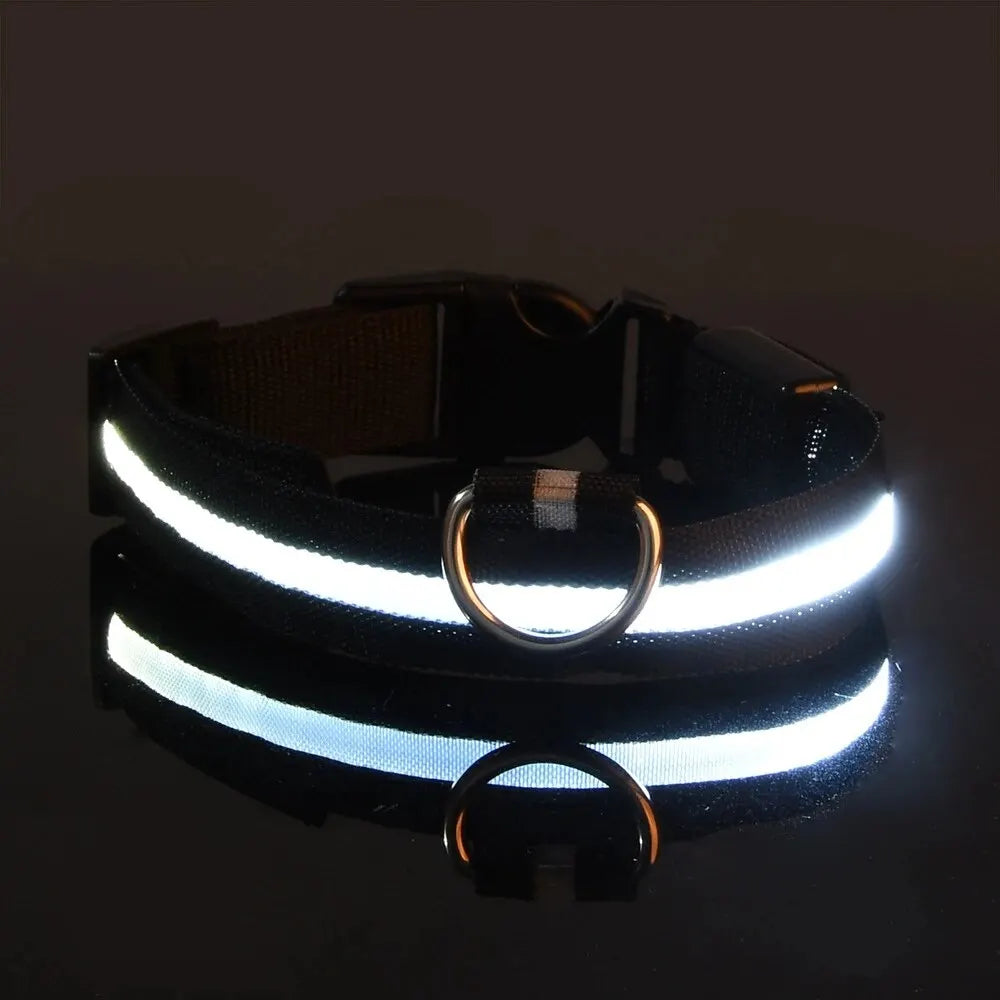 Nylon LED Night Safety