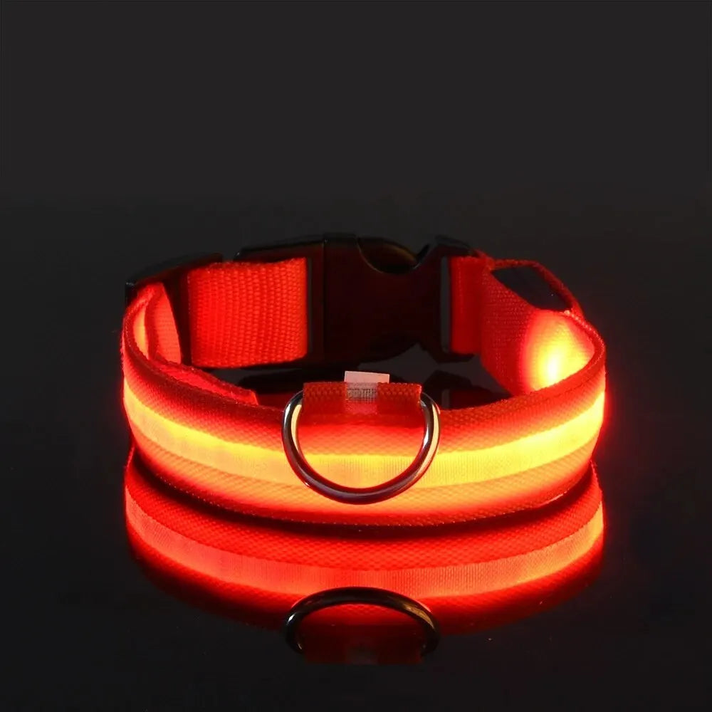 Nylon LED Night Safety